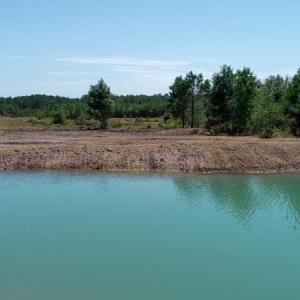 Photo of SOLD!  103.88 Acres of Hunting and Timber Land For Sale in Brunswick County NC!