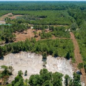 Photo of SOLD!  103.88 Acres of Hunting and Timber Land For Sale in Brunswick County NC!