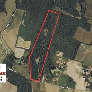 Photo of SOLD!39.4 Acres of Recreational Land For Sale in Lunenburg County VA!