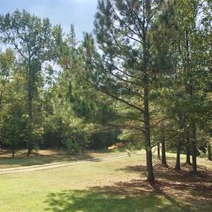 Photo of SOLD!39.4 Acres of Recreational Land For Sale in Lunenburg County VA!