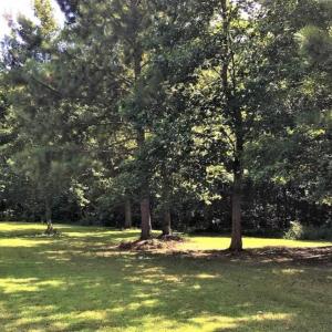 Photo of SOLD!39.4 Acres of Recreational Land For Sale in Lunenburg County VA!