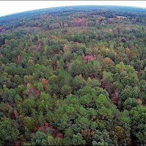 Photo of SOLD!39.4 Acres of Recreational Land For Sale in Lunenburg County VA!