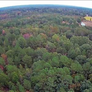 Photo of SOLD!39.4 Acres of Recreational Land For Sale in Lunenburg County VA!