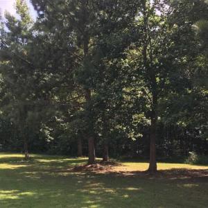 Photo of SOLD!39.4 Acres of Recreational Land For Sale in Lunenburg County VA!