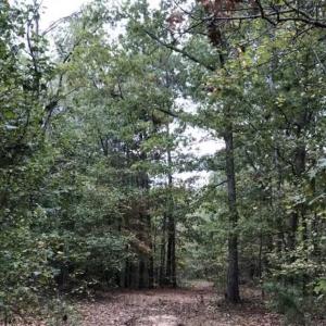 Photo of SOLD!39.4 Acres of Recreational Land For Sale in Lunenburg County VA!