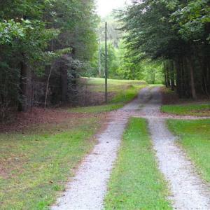 Photo of SOLD!!  5 Acres of Waterfront Timber Land For Sale in Isle of Wight County VA!