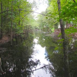 Photo of SOLD!!  5 Acres of Waterfront Timber Land For Sale in Isle of Wight County VA!