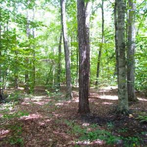 Photo of SOLD!!  5 Acres of Waterfront Timber Land For Sale in Isle of Wight County VA!