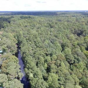 Photo of SOLD!!  5 Acres of Waterfront Timber Land For Sale in Isle of Wight County VA!