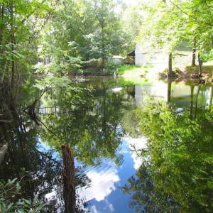 Photo of SOLD!!  5 Acres of Waterfront Timber Land For Sale in Isle of Wight County VA!