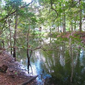 Photo of SOLD!!  5 Acres of Waterfront Timber Land For Sale in Isle of Wight County VA!