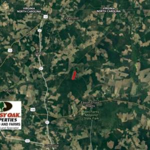 Photo of SOLD!  38 Acres of Hunting and Timber Land for Sale in Gates County NC!