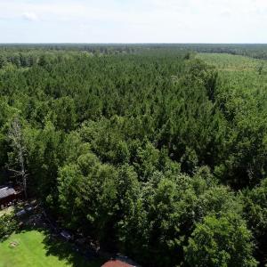 Photo of SOLD!  38 Acres of Hunting and Timber Land for Sale in Gates County NC!