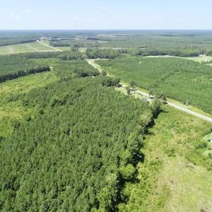 Photo of SOLD!  38 Acres of Hunting and Timber Land for Sale in Gates County NC!