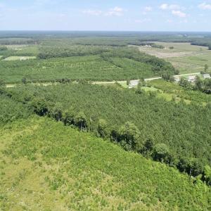 Photo of SOLD!  38 Acres of Hunting and Timber Land for Sale in Gates County NC!