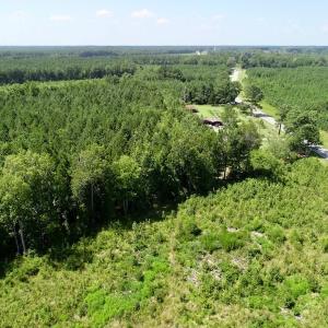 Photo of SOLD!  38 Acres of Hunting and Timber Land for Sale in Gates County NC!