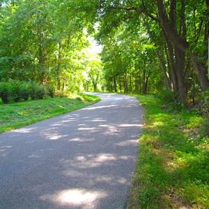 Photo of SOLD!!! 5 Acre Building Lot For Sale in Isle of Wight County VA!