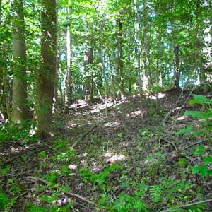 Photo of SOLD!!! 5 Acre Building Lot For Sale in Isle of Wight County VA!