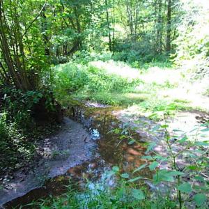 Photo of SOLD!!! 5 Acre Building Lot For Sale in Isle of Wight County VA!