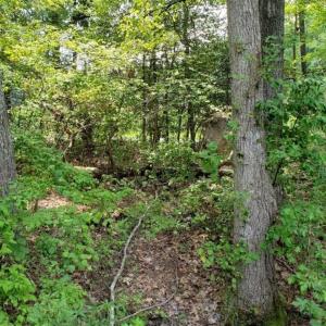 Photo of SOLD!!  1.7 Acres of Residential Building Land For Sale in Lancaster County VA!