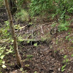 Photo of SOLD!!  1.7 Acres of Residential Building Land For Sale in Lancaster County VA!