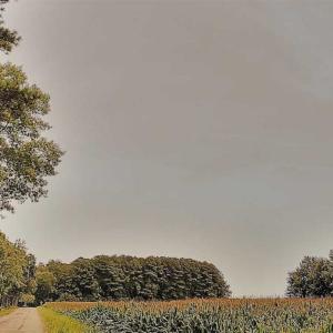 Photo of SOLD!!  1.7 Acres of Residential Building Land For Sale in Lancaster County VA!