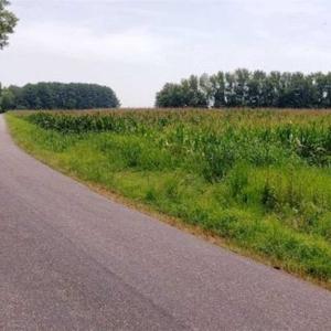 Photo of SOLD!!  1.7 Acres of Residential Building Land For Sale in Lancaster County VA!