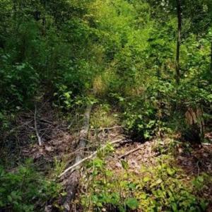 Photo of SOLD!!  1.7 Acres of Residential Building Land For Sale in Lancaster County VA!
