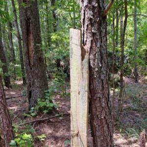 Photo of SOLD!!  1.7 Acres of Residential Building Land For Sale in Lancaster County VA!