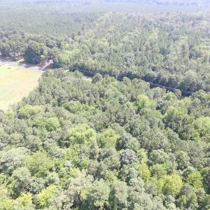 Photo of SOLD!!  6 Acres of Mature Timber Land for Sale in  Surry County VA!