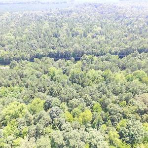Photo of SOLD!!  6 Acres of Mature Timber Land for Sale in  Surry County VA!