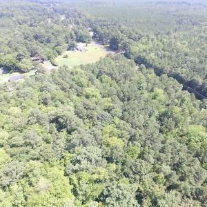 Photo of SOLD!!  6 Acres of Mature Timber Land for Sale in  Surry County VA!