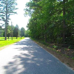 Photo of SOLD!!  6 Acres of Mature Timber Land for Sale in  Surry County VA!