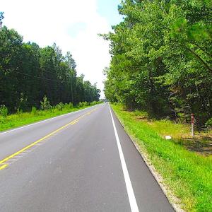 Photo of SOLD!!  6 Acres of Mature Timber Land for Sale in  Surry County VA!