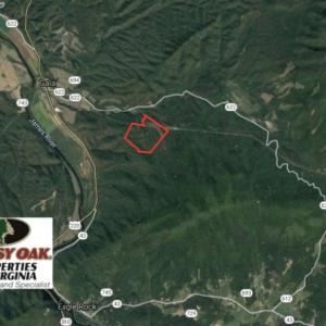 Photo of 148 Acres of Hunting and Recreational Land for Sale in Botetourt County VA!