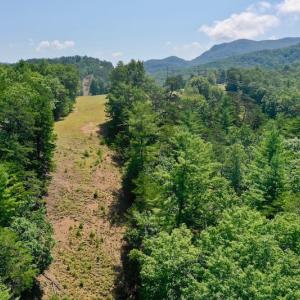 Photo of 148 Acres of Hunting and Recreational Land for Sale in Botetourt County VA!