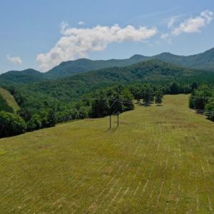 Photo of 148 Acres of Hunting and Recreational Land for Sale in Botetourt County VA!