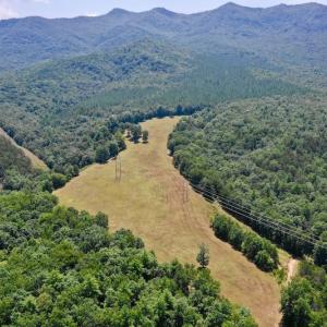 Photo of 148 Acres of Hunting and Recreational Land for Sale in Botetourt County VA!