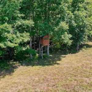 Photo of 148 Acres of Hunting and Recreational Land for Sale in Botetourt County VA!