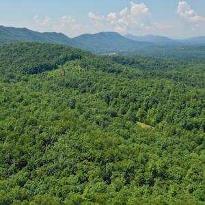 Photo of 148 Acres of Hunting and Recreational Land for Sale in Botetourt County VA!