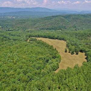 Photo of 148 Acres of Hunting and Recreational Land for Sale in Botetourt County VA!