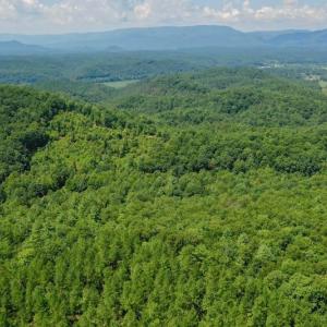 Photo of 148 Acres of Hunting and Recreational Land for Sale in Botetourt County VA!