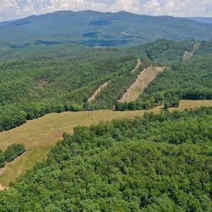 Photo of 148 Acres of Hunting and Recreational Land for Sale in Botetourt County VA!