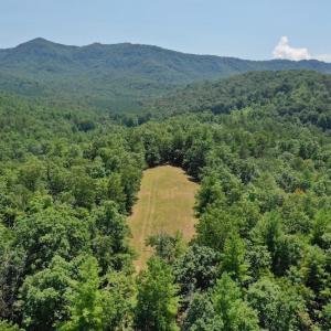 Photo of 148 Acres of Hunting and Recreational Land for Sale in Botetourt County VA!