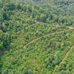 Photo of 148 Acres of Hunting and Recreational Land for Sale in Botetourt County VA!