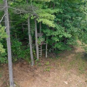 Photo of 148 Acres of Hunting and Recreational Land for Sale in Botetourt County VA!