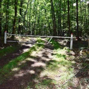 Photo of 148 Acres of Hunting and Recreational Land for Sale in Botetourt County VA!