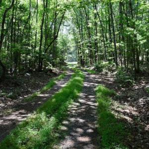 Photo of 148 Acres of Hunting and Recreational Land for Sale in Botetourt County VA!