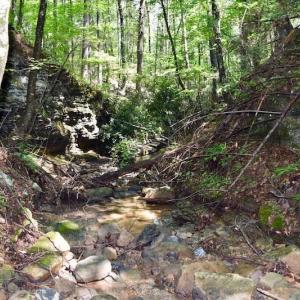 Photo of 148 Acres of Hunting and Recreational Land for Sale in Botetourt County VA!