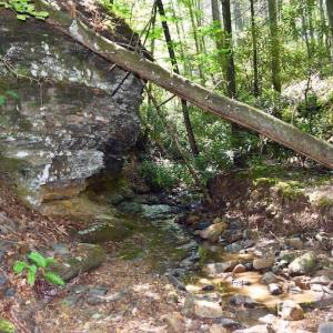 Photo of 148 Acres of Hunting and Recreational Land for Sale in Botetourt County VA!